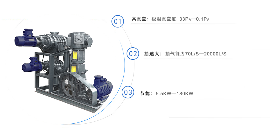 羅茨泵+無油往復(fù)真空泵機組
