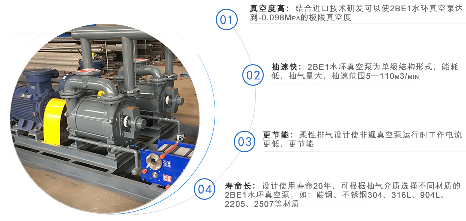 2BE1系列水環(huán)式真空泵